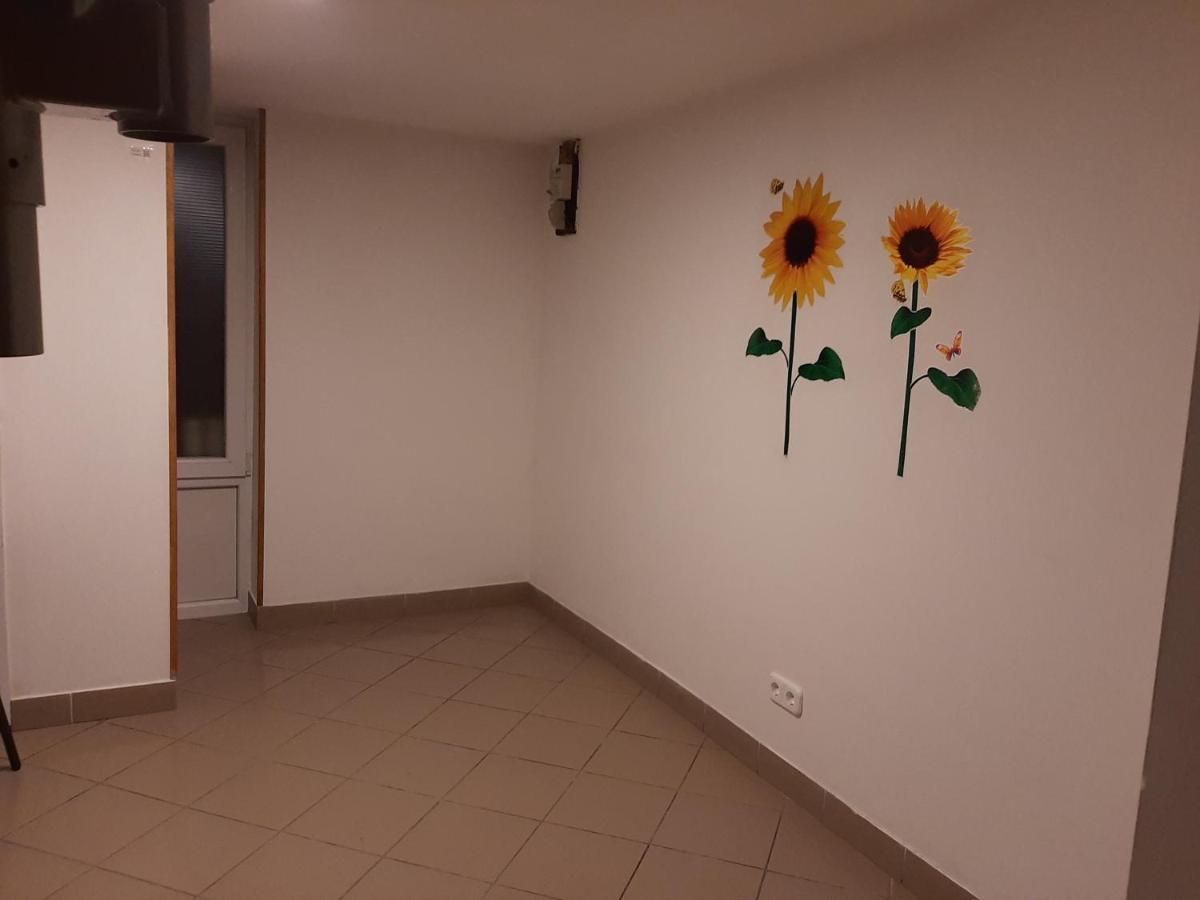 Apartman Vorosmarty Apartment Budapest Ngoại thất bức ảnh